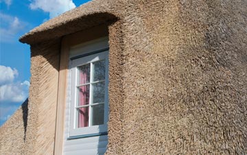 Liskeard thatch roof disadvantages